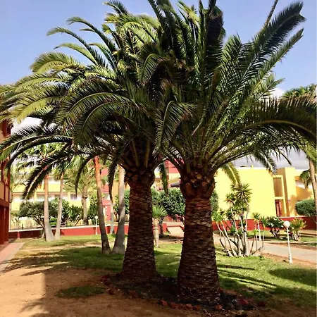 Fuerteventura - La Caleta, Parques Holandes * La Oliva